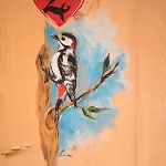 Sogni D'oro